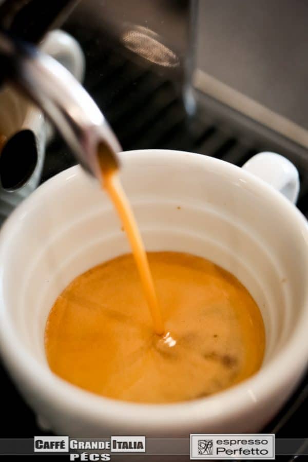 Barista Home Tanfolyam (azoknak, akik nálunk vásárolták készüléküket) - Image 10